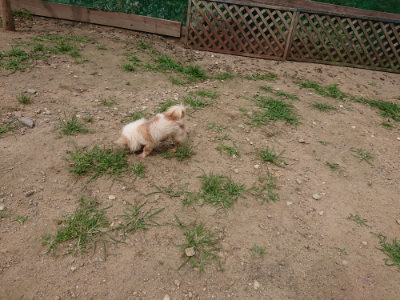 f:id:roukenhome-ann:20190708151603j:plain