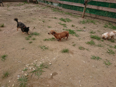 f:id:roukenhome-ann:20190708152950j:plain