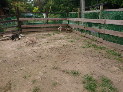 f:id:roukenhome-ann:20190708153107j:plain