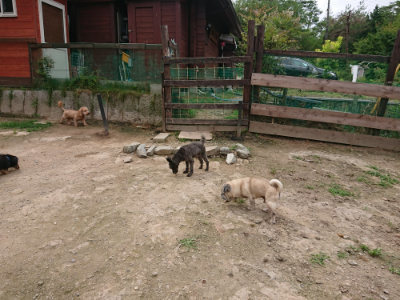 f:id:roukenhome-ann:20190708153115j:plain