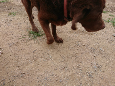f:id:roukenhome-ann:20190708153239j:plain