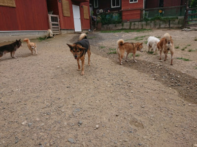 f:id:roukenhome-ann:20190708153300j:plain