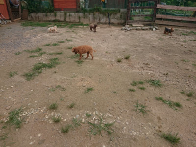f:id:roukenhome-ann:20190708193452j:plain f:id:roukenhome-ann:20190708193452j:plain