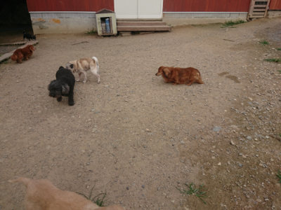 f:id:roukenhome-ann:20190708193504j:plain f:id:roukenhome-ann:20190708193504j:plain