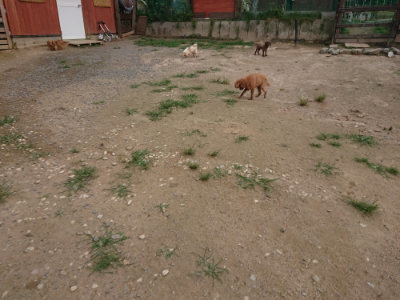f:id:roukenhome-ann:20190708193509j:plain f:id:roukenhome-ann:20190708193509j:plain