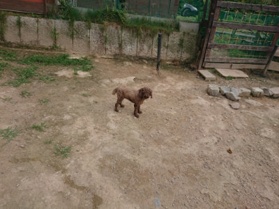 f:id:roukenhome-ann:20190708193523j:plain f:id:roukenhome-ann:20190708193523j:plain