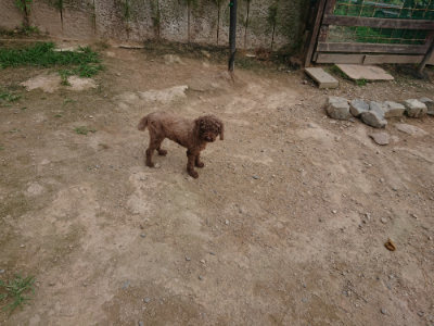 f:id:roukenhome-ann:20190708193530j:plain f:id:roukenhome-ann:20190708193530j:plain