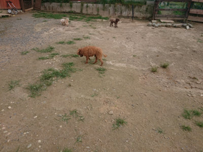 f:id:roukenhome-ann:20190708193535j:plain f:id:roukenhome-ann:20190708193535j:plain