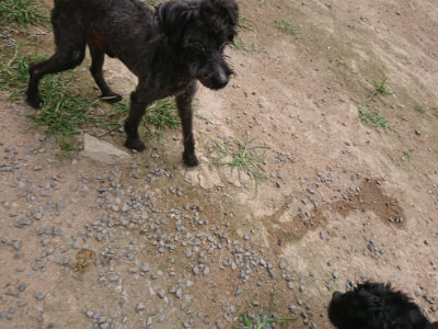 f:id:roukenhome-ann:20190708193628j:plain f:id:roukenhome-ann:20190708193628j:plain