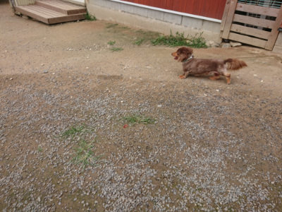 f:id:roukenhome-ann:20190708193651j:plain f:id:roukenhome-ann:20190708193651j:plain