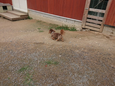 f:id:roukenhome-ann:20190708193658j:plain f:id:roukenhome-ann:20190708193658j:plain