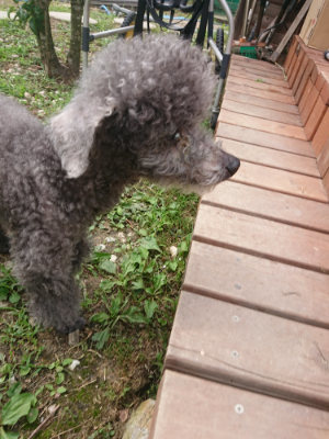 f:id:roukenhome-ann:20190708193728j:plain f:id:roukenhome-ann:20190708193728j:plain
