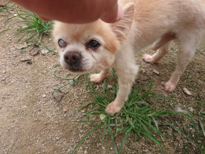 f:id:roukenhome-ann:20190708193907j:plain f:id:roukenhome-ann:20190708193907j:plain