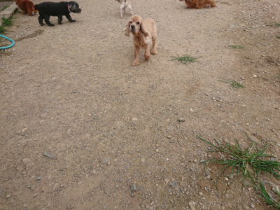 f:id:roukenhome-ann:20190708193919j:plain f:id:roukenhome-ann:20190708193919j:plain