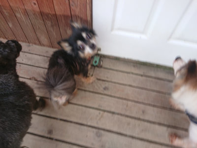f:id:roukenhome-ann:20190708201936j:plain f:id:roukenhome-ann:20190708201936j:plain