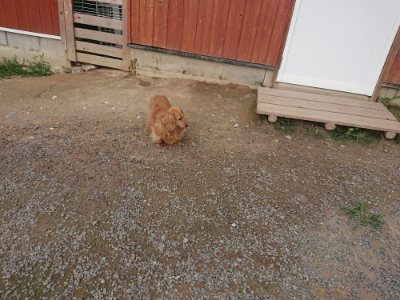 f:id:roukenhome-ann:20190708201941j:plain f:id:roukenhome-ann:20190708201941j:plain