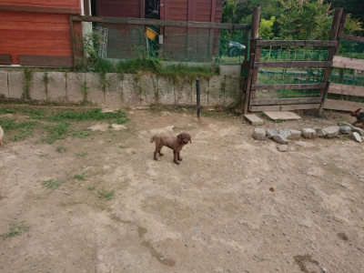 f:id:roukenhome-ann:20190708202005j:plain f:id:roukenhome-ann:20190708202005j:plain