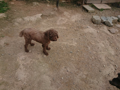 f:id:roukenhome-ann:20190708202013j:plain f:id:roukenhome-ann:20190708202013j:plain