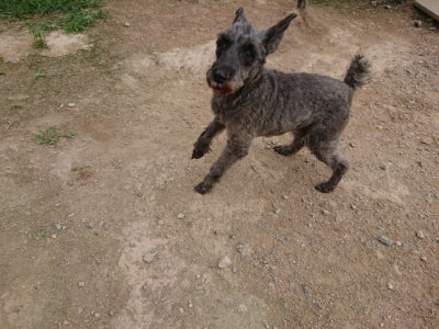f:id:roukenhome-ann:20190708202019j:plain f:id:roukenhome-ann:20190708202019j:plain