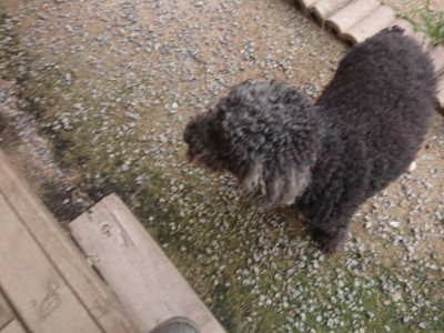 f:id:roukenhome-ann:20190708202113j:plain f:id:roukenhome-ann:20190708202113j:plain