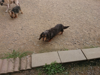 f:id:roukenhome-ann:20190708202142j:plain f:id:roukenhome-ann:20190708202142j:plain