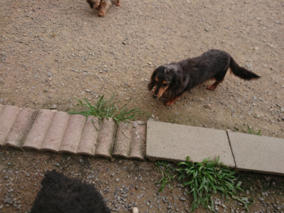 f:id:roukenhome-ann:20190708202154j:plain f:id:roukenhome-ann:20190708202154j:plain