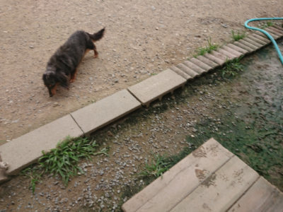 f:id:roukenhome-ann:20190708202217j:plain f:id:roukenhome-ann:20190708202217j:plain