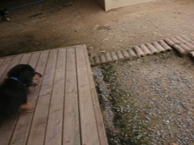 f:id:roukenhome-ann:20190708202317j:plain f:id:roukenhome-ann:20190708202317j:plain