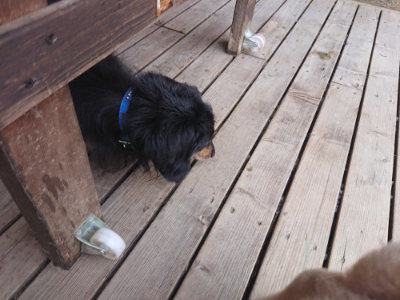 f:id:roukenhome-ann:20190708202440j:plain f:id:roukenhome-ann:20190708202440j:plain