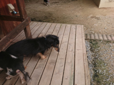 f:id:roukenhome-ann:20190708202446j:plain f:id:roukenhome-ann:20190708202446j:plain