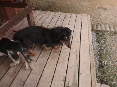 f:id:roukenhome-ann:20190708202515j:plain f:id:roukenhome-ann:20190708202515j:plain