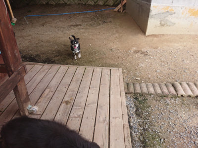 f:id:roukenhome-ann:20190708202528j:plain f:id:roukenhome-ann:20190708202528j:plain