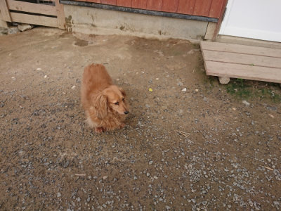 f:id:roukenhome-ann:20190708202535j:plain f:id:roukenhome-ann:20190708202535j:plain