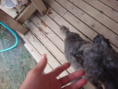 f:id:roukenhome-ann:20190708202543j:plain f:id:roukenhome-ann:20190708202543j:plain