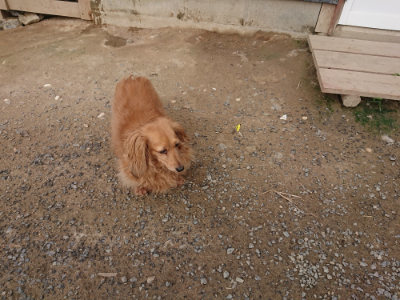 f:id:roukenhome-ann:20190708202550j:plain f:id:roukenhome-ann:20190708202550j:plain