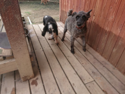 f:id:roukenhome-ann:20190708202557j:plain f:id:roukenhome-ann:20190708202557j:plain