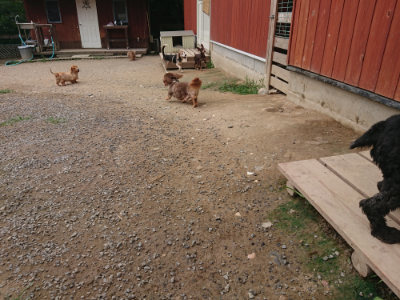 f:id:roukenhome-ann:20190708202731j:plain f:id:roukenhome-ann:20190708202731j:plain