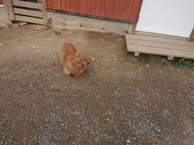 f:id:roukenhome-ann:20190708202737j:plain f:id:roukenhome-ann:20190708202737j:plain