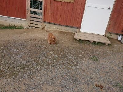 f:id:roukenhome-ann:20190708202753j:plain f:id:roukenhome-ann:20190708202753j:plain