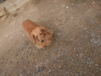 f:id:roukenhome-ann:20190708202843j:plain f:id:roukenhome-ann:20190708202843j:plain