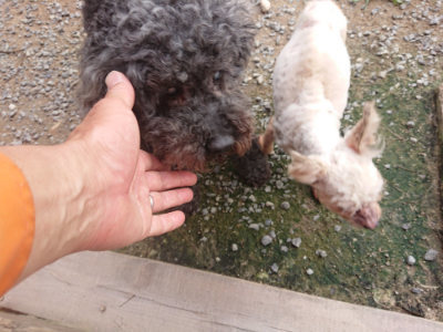 f:id:roukenhome-ann:20190708202906j:plain f:id:roukenhome-ann:20190708202906j:plain