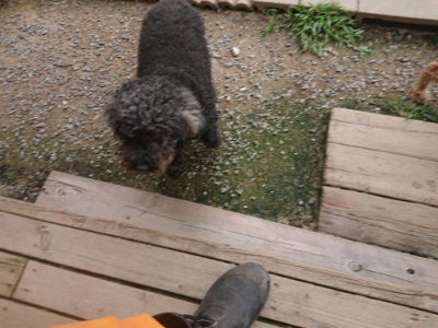 f:id:roukenhome-ann:20190708202934j:plain f:id:roukenhome-ann:20190708202934j:plain