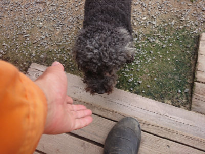 f:id:roukenhome-ann:20190708202940j:plain f:id:roukenhome-ann:20190708202940j:plain