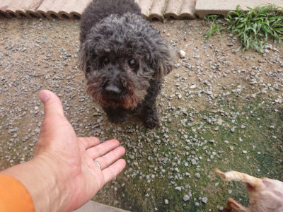 f:id:roukenhome-ann:20190708202951j:plain f:id:roukenhome-ann:20190708202951j:plain