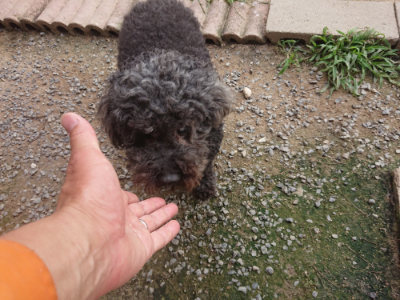 f:id:roukenhome-ann:20190708202957j:plain f:id:roukenhome-ann:20190708202957j:plain