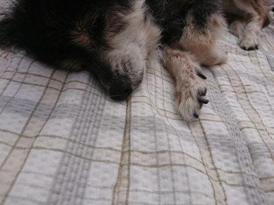f:id:roukenhome-ann:20190708203101j:plain f:id:roukenhome-ann:20190708203101j:plain