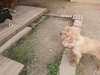 f:id:roukenhome-ann:20190708203120j:plain f:id:roukenhome-ann:20190708203120j:plain