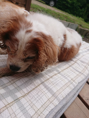 f:id:roukenhome-ann:20190708203126j:plain f:id:roukenhome-ann:20190708203126j:plain