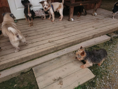 f:id:roukenhome-ann:20190708204959j:plain f:id:roukenhome-ann:20190708204959j:plain