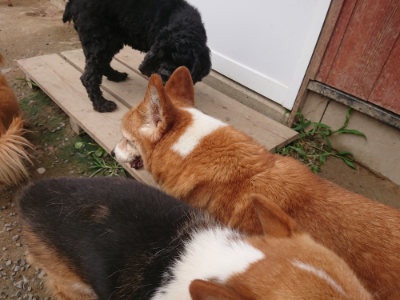 f:id:roukenhome-ann:20190708205016j:plain f:id:roukenhome-ann:20190708205016j:plain